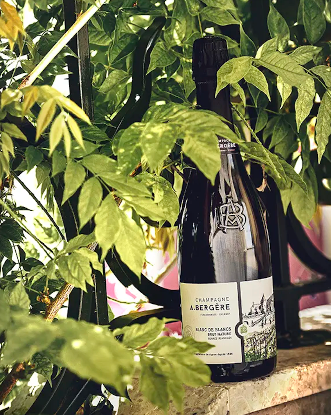 A.Bergère - Terres Blanches Blanc de Blancs Brut Nature