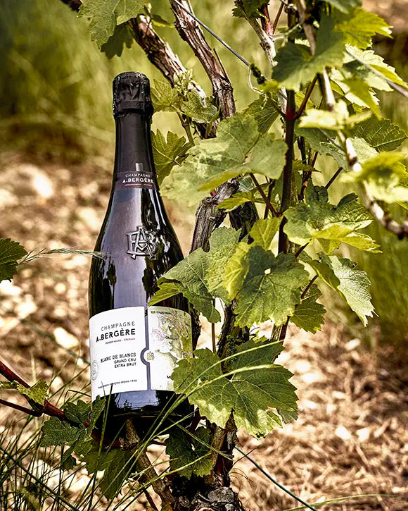 A.Bergère - Blanc de Blancs Grand Cru Extra Brut